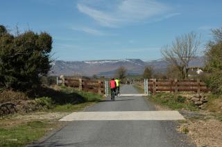 The Fitzwilton Hotel - 1