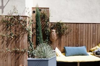 L'Orangeraie et la Palmeraie d'Endoume - 4