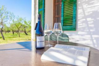 Ses Planes - Adults Only ( Ca Na Faustina) - Selva - 2