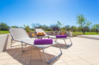 Ses Planes - Adults Only ( Ca Na Faustina) - Selva - 1