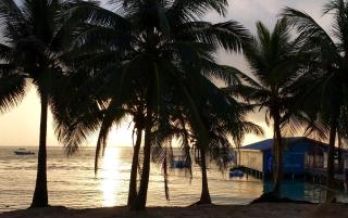 The Palapa House - 8