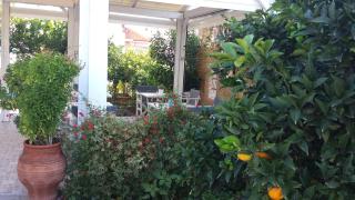 Akrogiali - Skala - 4