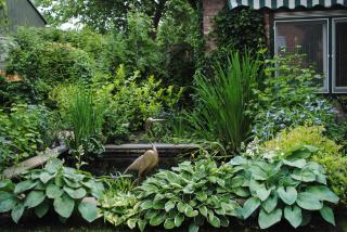B&B Elegance Hamont - Hamont - 9