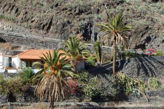 Casa el Anden - El Cedro - 7