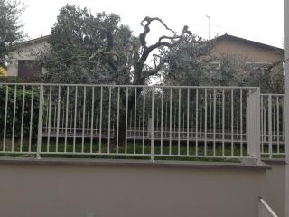 Casa Armonia - Peschiera del Garda - 2