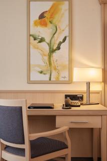 Eibsee Hotel - Grainau - 2