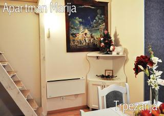 Apartment Marija- Kopaonik centar - Kopaonik - 0