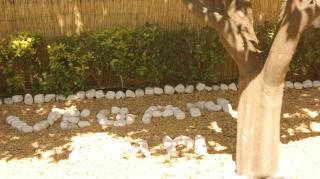 Vegan Inn Airport - Adults Only - LATE CHECK IN - Fiumicino - 3