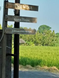 The Wina Guest House 2 - Canggu - 1