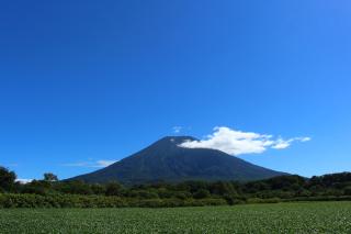 Niseko OAC Lodge - 1