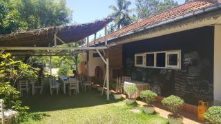 Surfing Wombats - Weligama - 9