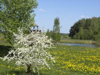 Wieża marzeń - 4