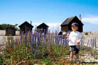Östra Flygeln Bunge Vandrarhem - Fårösund - 7