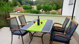 Apartments Ina - Rogaška Slatina - 6