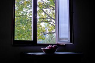 Salme Apartment - Tartu - 6