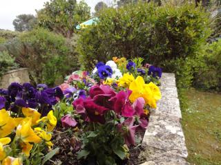 Le Mas des Gardettes - Saint-Paul-de-Vence - 4