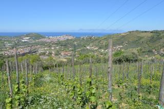 La Locanda di Campagna - Agropoli - 4
