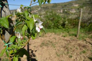 La Locanda di Campagna - Agropoli - 2