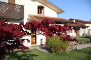 La Pecora Nera Bed & Breakfast Belluno - Belluno - 7