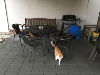 Ubytování v soukromí U Volného - 5