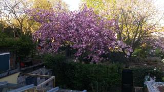 Bed en Broodje Bloem - Delft - 7