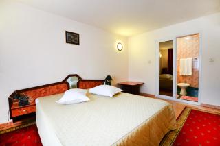 Euro Hotel - Timişoara - 5