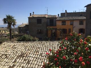 La residenza dell'Artista - Bagnoregio - 1