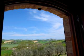 L'Oasi di Pierino - 4