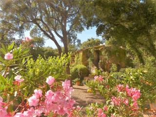 Le Bastidon Saint-Michel - Sainte-Maxime - 6