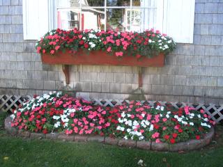 Shaw's Hotel & Cottages - 2