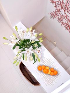 Luxury Apartment Bifora - Hvar - 9