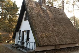Reetdach-Ferienhaus in Quilitz - Rankwitz - 6