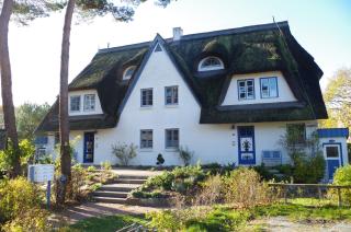 FeWo Sonnenblume Achtern Diek - Zingst - 0