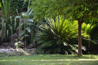 Les Passiflores - Grasse - 5