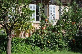 Les Passiflores - Grasse - 3