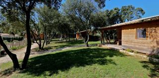 Gîtes "Les Cabanes de Carelle" entre Camargue et Cévennes - Aspères - 2