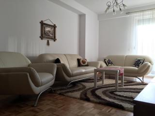Apartment Gashi - Pristina - 0