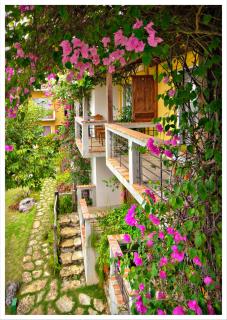 Amarela Resort - Panglao Island - 2