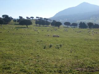 Agriturismo Usurtala - 3