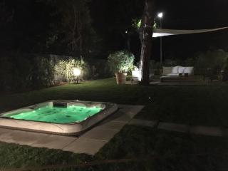 Provenzale - 5