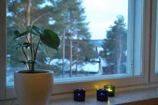 Ounasvaara Arctic Suite - Rovaniemi - 6
