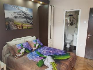 Apartments Vila Galileo - Budva - 8