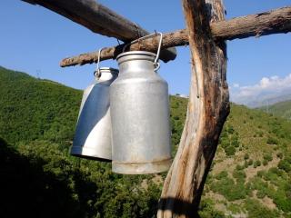 Les Bergeries "Le figuier" - Omessa - 5