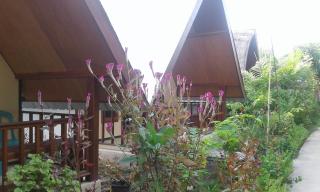 Pondok Anjani - Gili Meno - 1