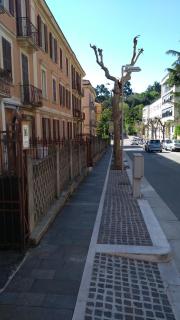 Il Viale - Chieti - 1