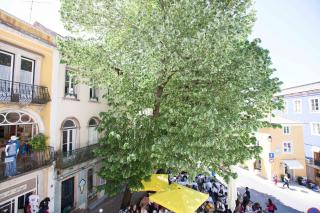 Lovely Apartment In Sintra - Sintra - 4