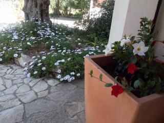 Azienda Agricola B&B Macchiaria - 4