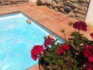 Carmen de Ramilla, encantadora Guesthouse con piscina soleada - Granada - 2