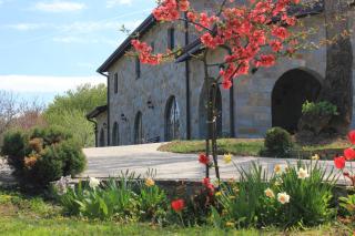 Villa Lavanda - Elena - 0