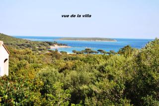Residence "U LATONU" - Porto-Vecchio - 0